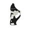 Camber Carbon Bottle Cage